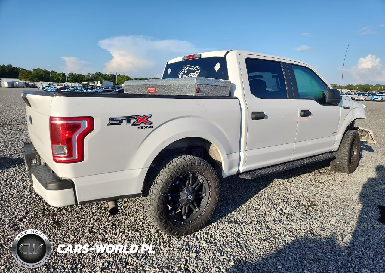 2017 Ford F150 Supercrew VIN:1FTEW1EP6HFC57382 - 3