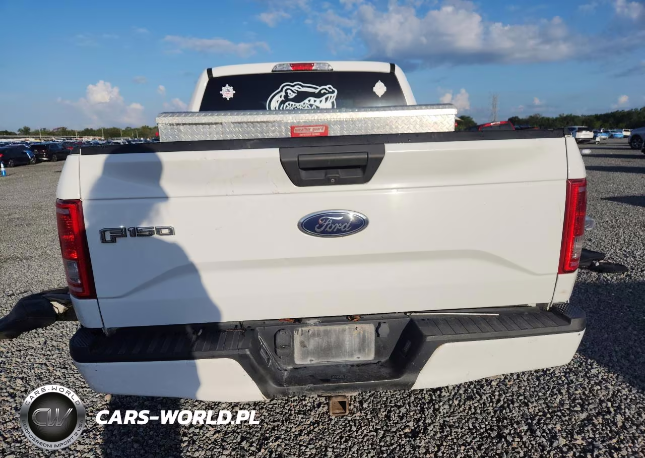 2017 Ford F150 Supercrew VIN:1FTEW1EP6HFC57382 - 6