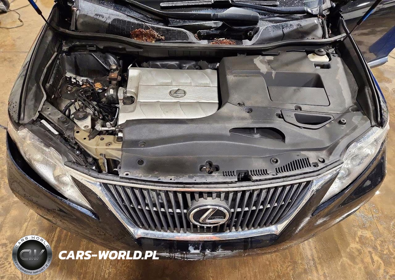 2010 Lexus Rx 350 VIN:2T2BK1BA4AC046450 - 12