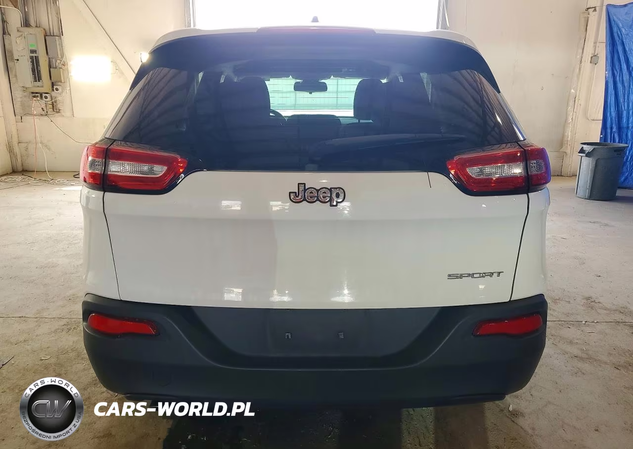 2015 Jeep Cherokee Sport VIN:1C4PJLAB3FW507901 - 6