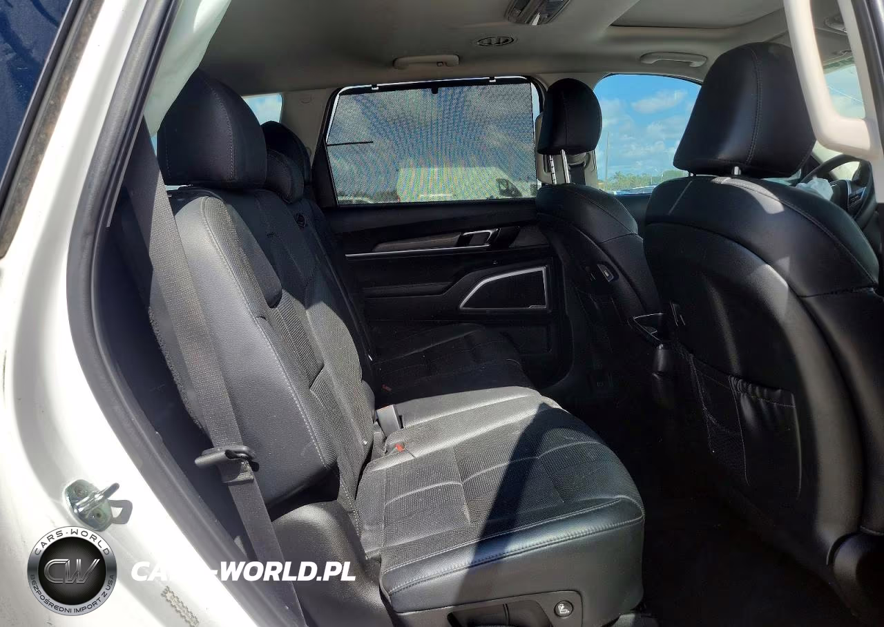 2020 Kia Telluride Ex VIN:5XYP34HC2LG018252 - 11