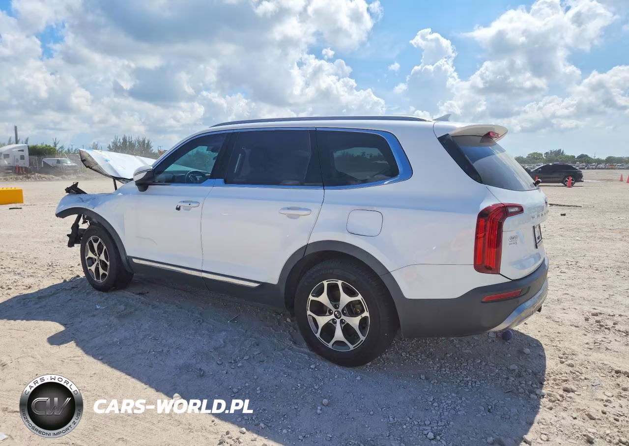 2020 Kia Telluride Ex VIN:5XYP34HC2LG018252 - 2