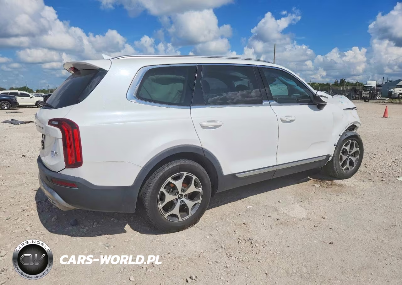 2020 Kia Telluride Ex VIN:5XYP34HC2LG018252 - 3