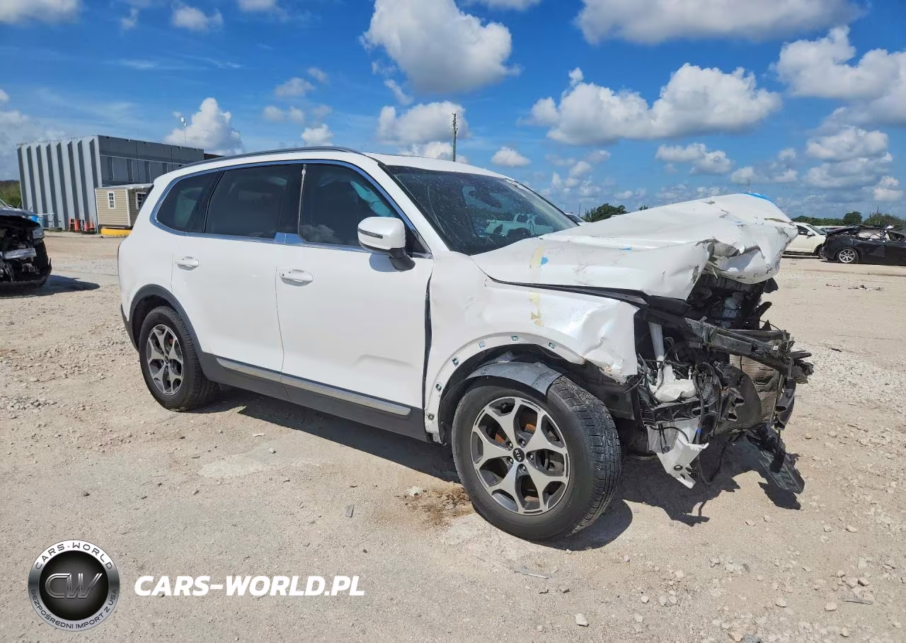 2020 Kia Telluride Ex VIN:5XYP34HC2LG018252 - 4