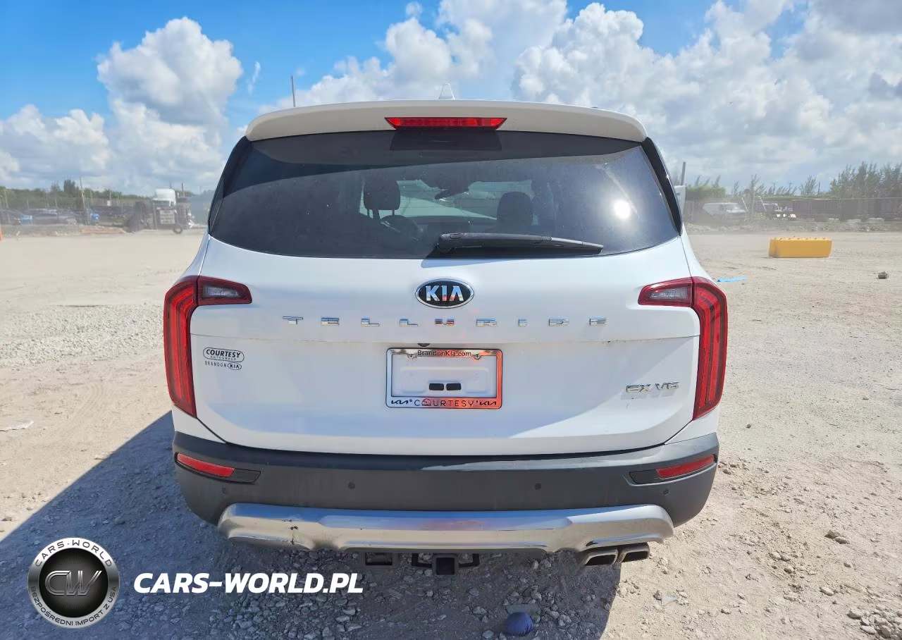 2020 Kia Telluride Ex VIN:5XYP34HC2LG018252 - 6