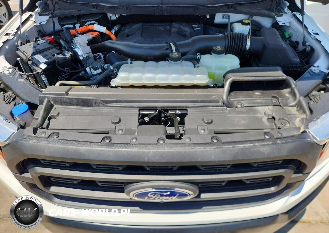 2022 Ford F150 Supercrew VIN:1FTFW1CD6NFB26297 - 11