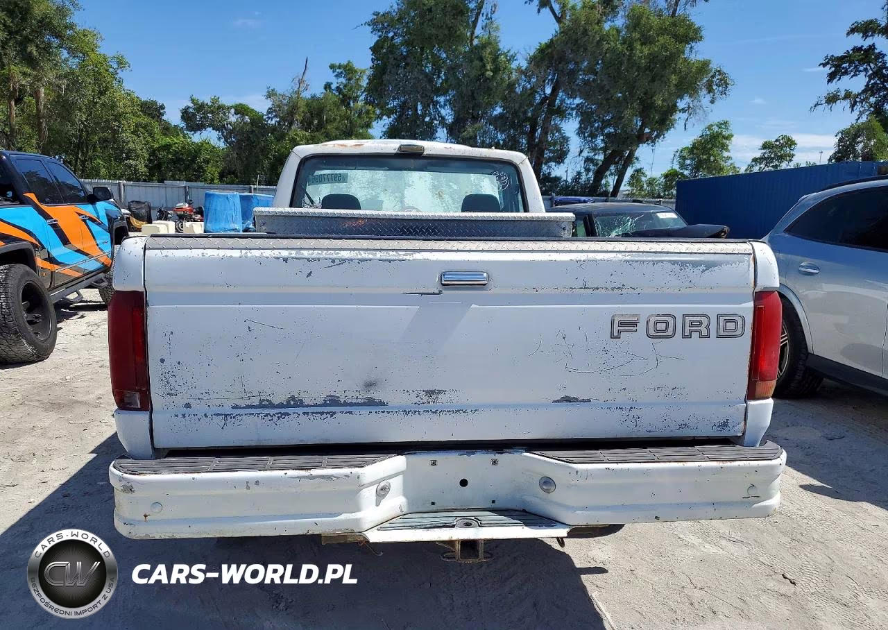 1993 Ford F150 VIN:1FTEF15Y9PNA90982 - 10