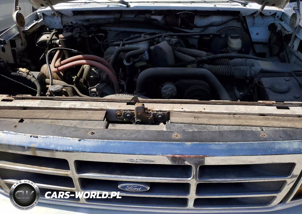 1993 Ford F150 VIN:1FTEF15Y9PNA90982 - 11