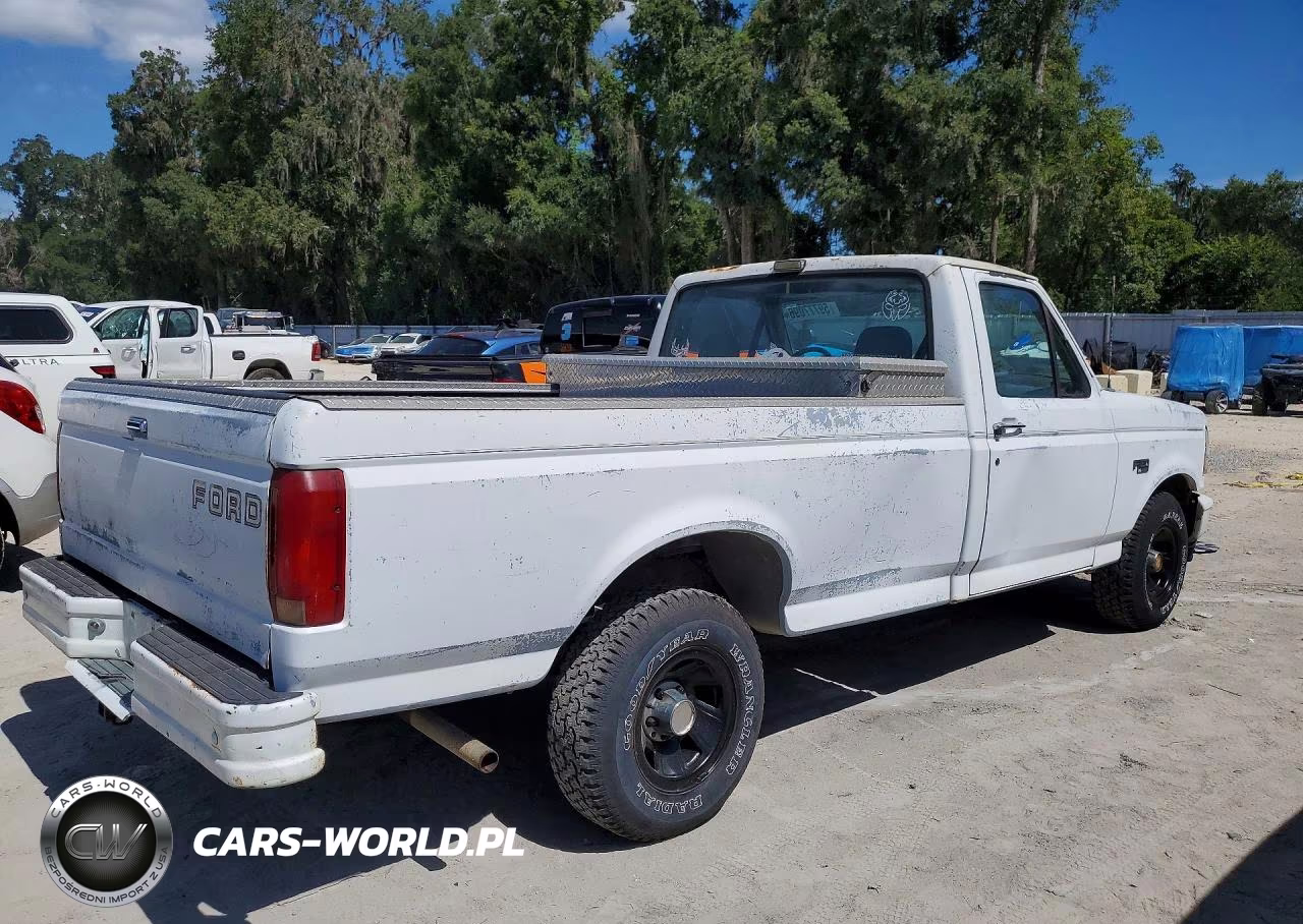 1993 Ford F150 VIN:1FTEF15Y9PNA90982 - 3