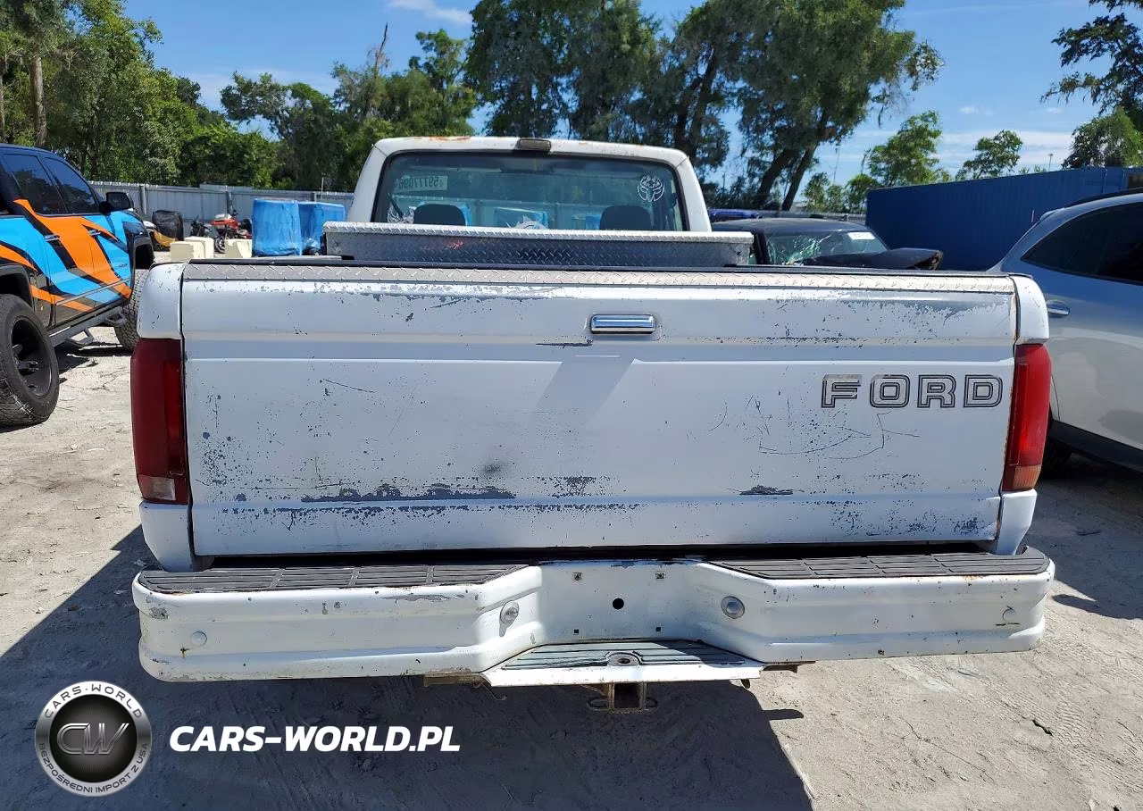1993 Ford F150 VIN:1FTEF15Y9PNA90982 - 6