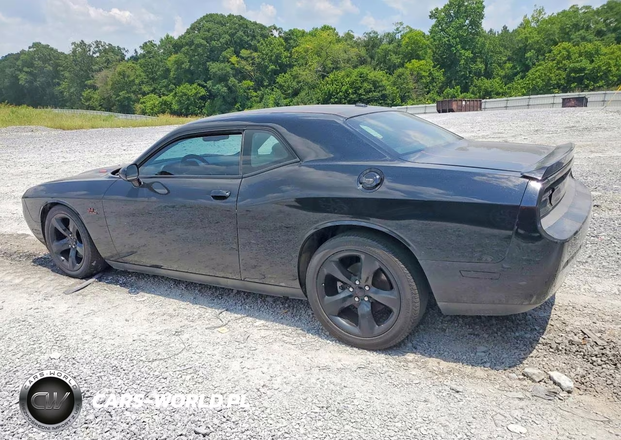 2013 Dodge Challenger R-T VIN:2C3CDYBT5DH674366 - 2