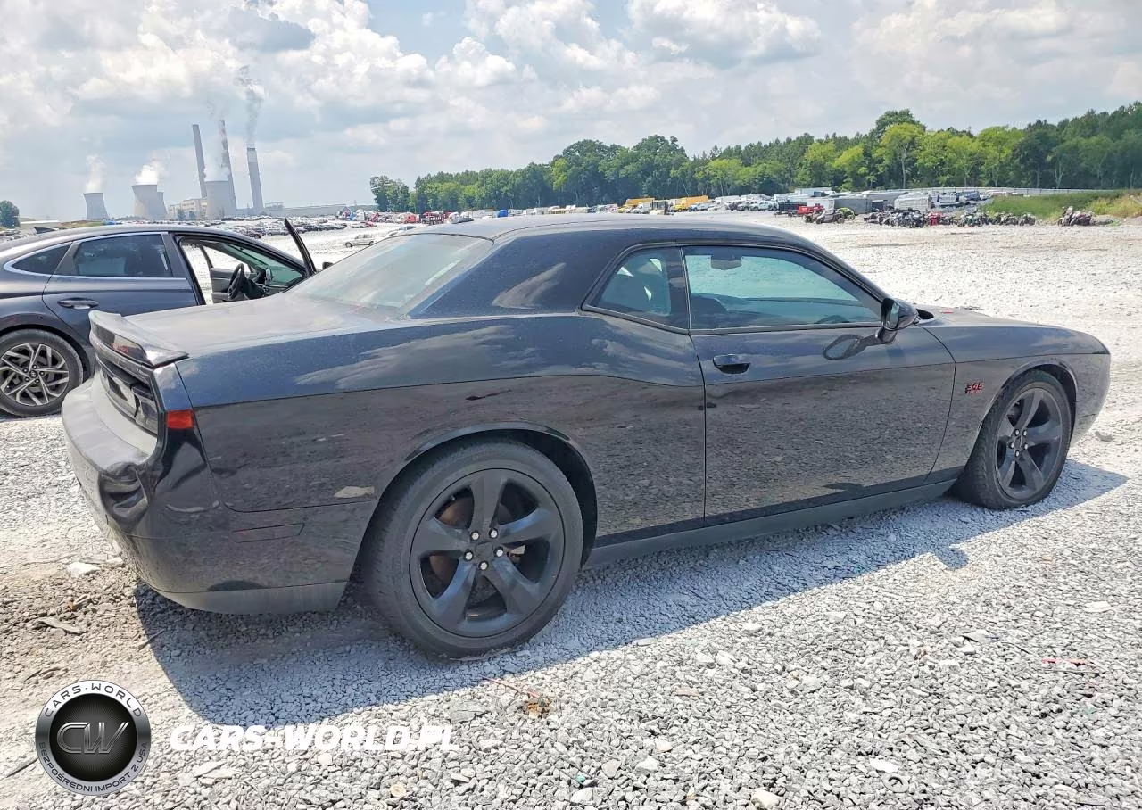 2013 Dodge Challenger R-T VIN:2C3CDYBT5DH674366 - 3