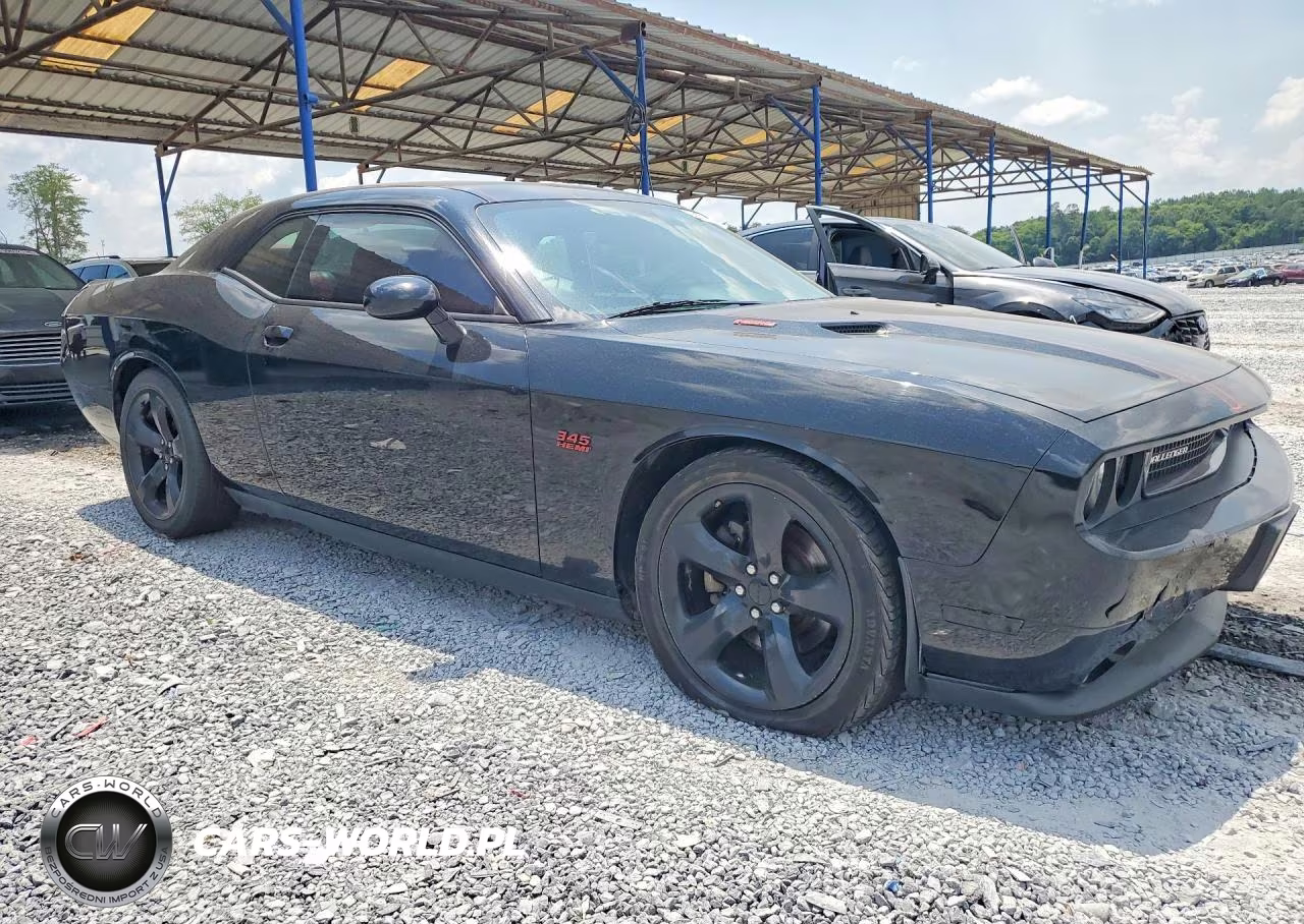 2013 Dodge Challenger R-T VIN:2C3CDYBT5DH674366 - 4