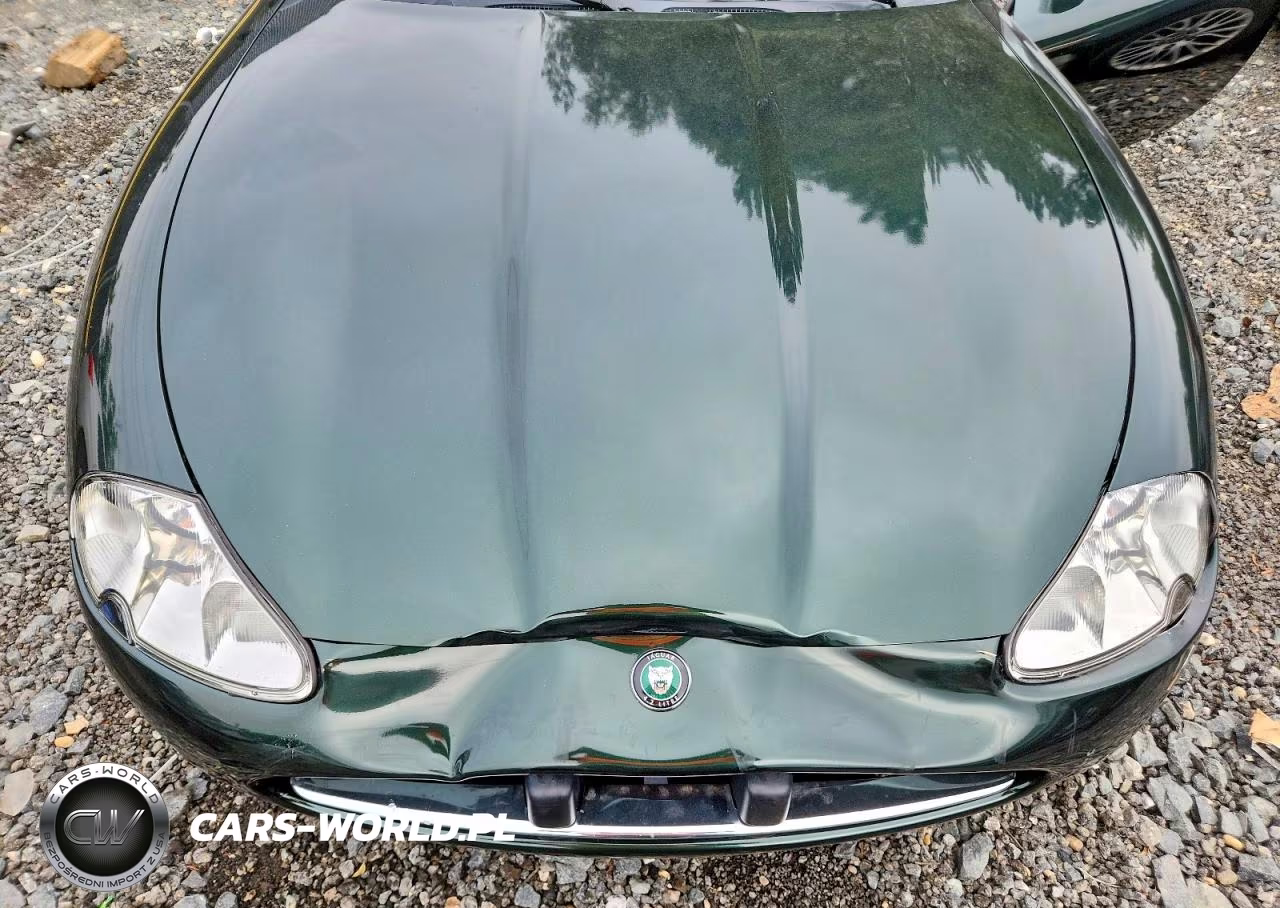 2006 Jaguar Xk8 VIN:SAJDA41C262A45442 - 11