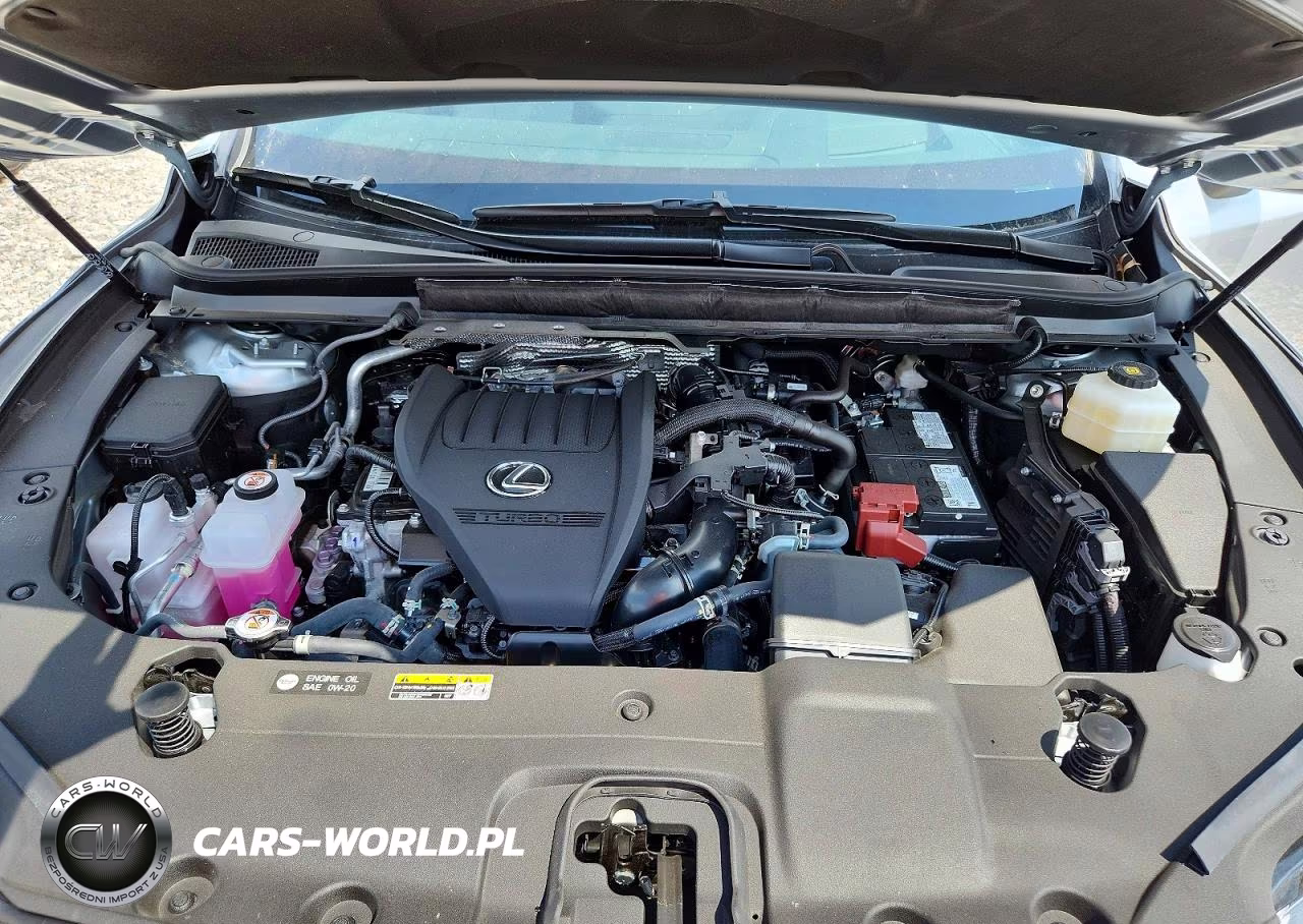 2025 Lexus Rx 350 Premium+ VIN:2T2BAMCA2SC108268 - 12