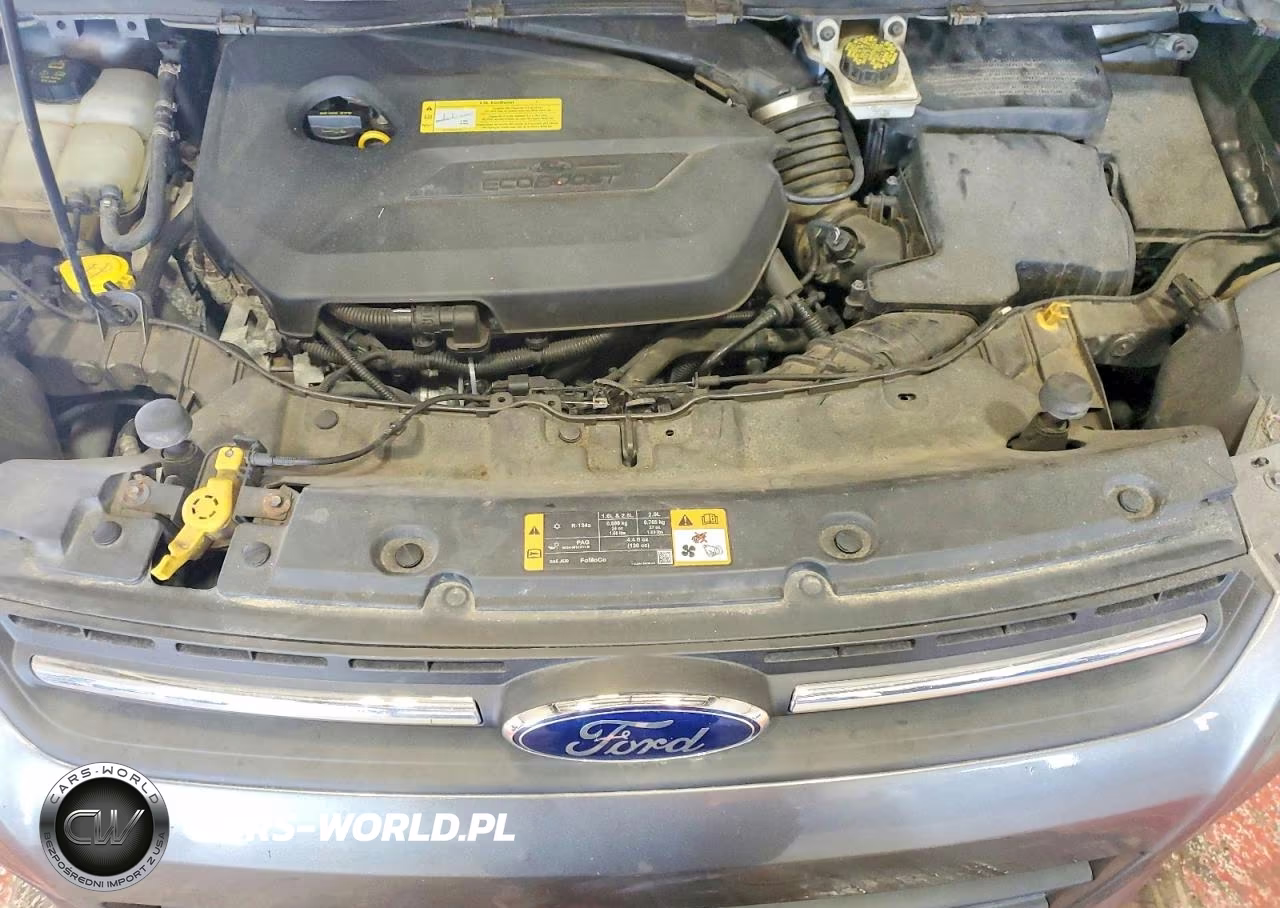 2014 Ford Escape Se VIN:1FMCU9GX6EUC89390 - 11