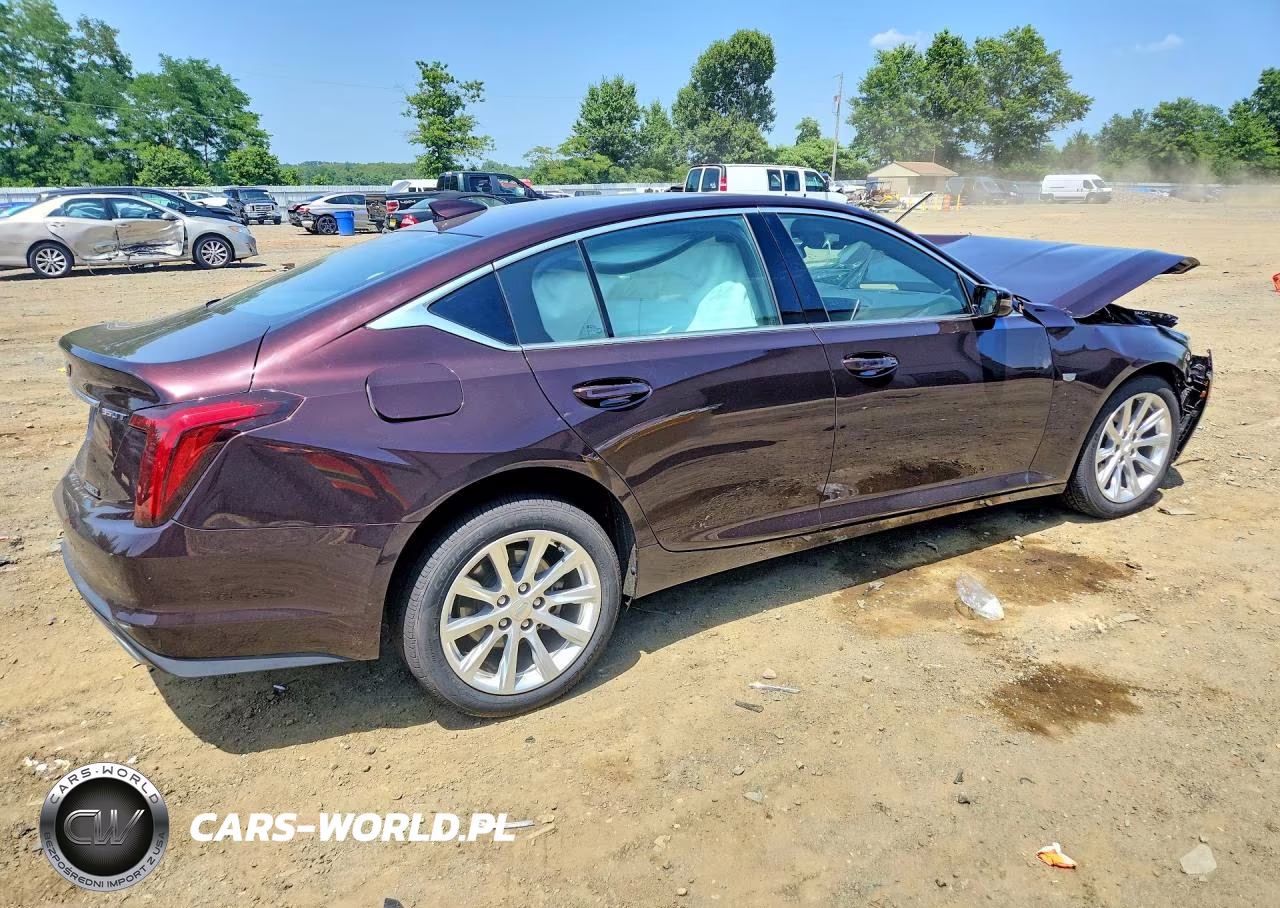 2020 Cadillac Ct5 Luxury VIN:1G6DS5RK0L0129652 - 3