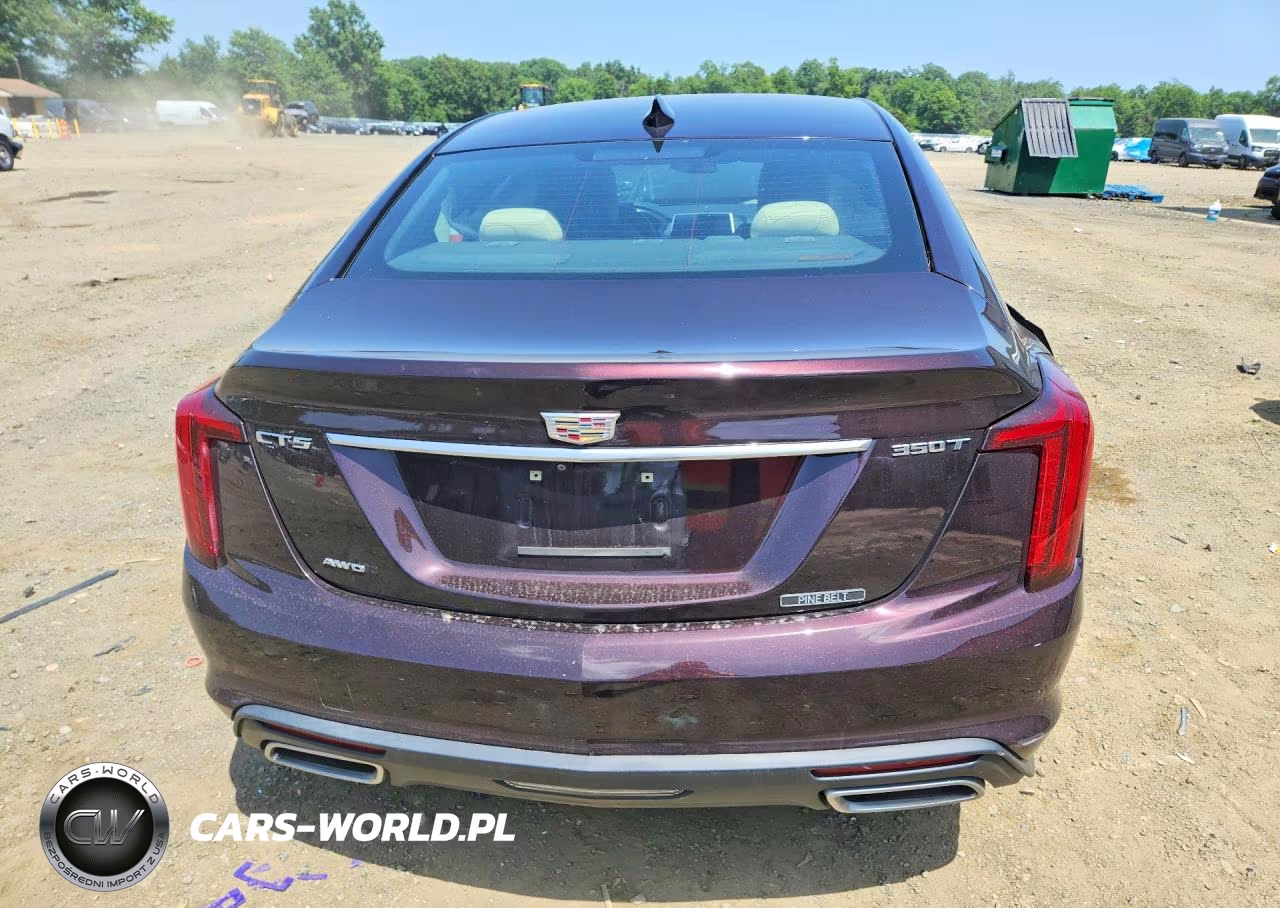 2020 Cadillac Ct5 Luxury VIN:1G6DS5RK0L0129652 - 6