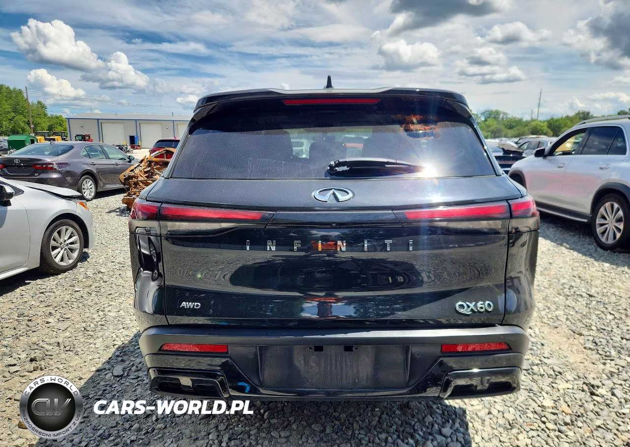 2025 Infiniti Qx60 Pure VIN:5N1AL1ES6SC343582 - 6