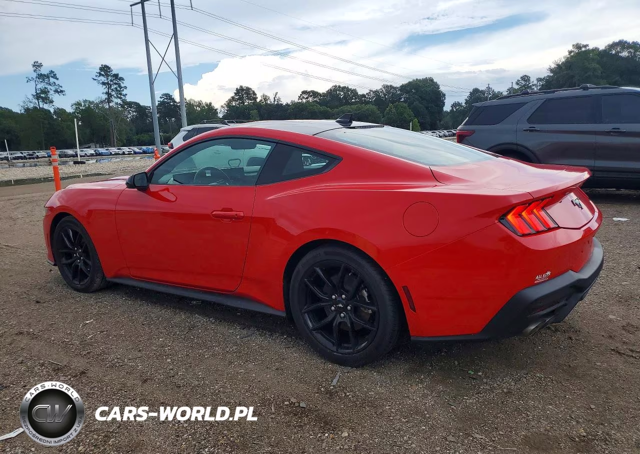 2025 Ford Mustang VIN:1FA6P8TH7S5123327 - 2