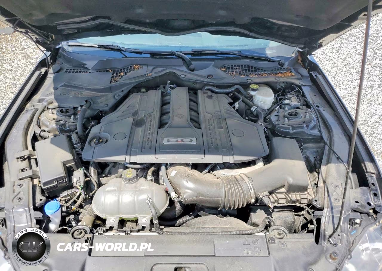 2023 Ford Mustang Gt VIN:1FA6P8CF8P5301011 - 11