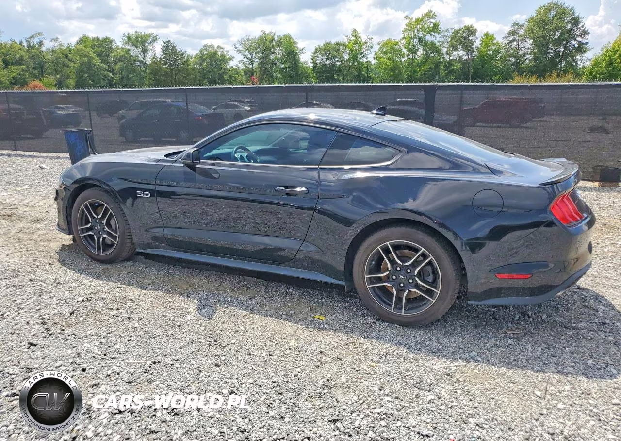 2023 Ford Mustang Gt VIN:1FA6P8CF8P5301011 - 2