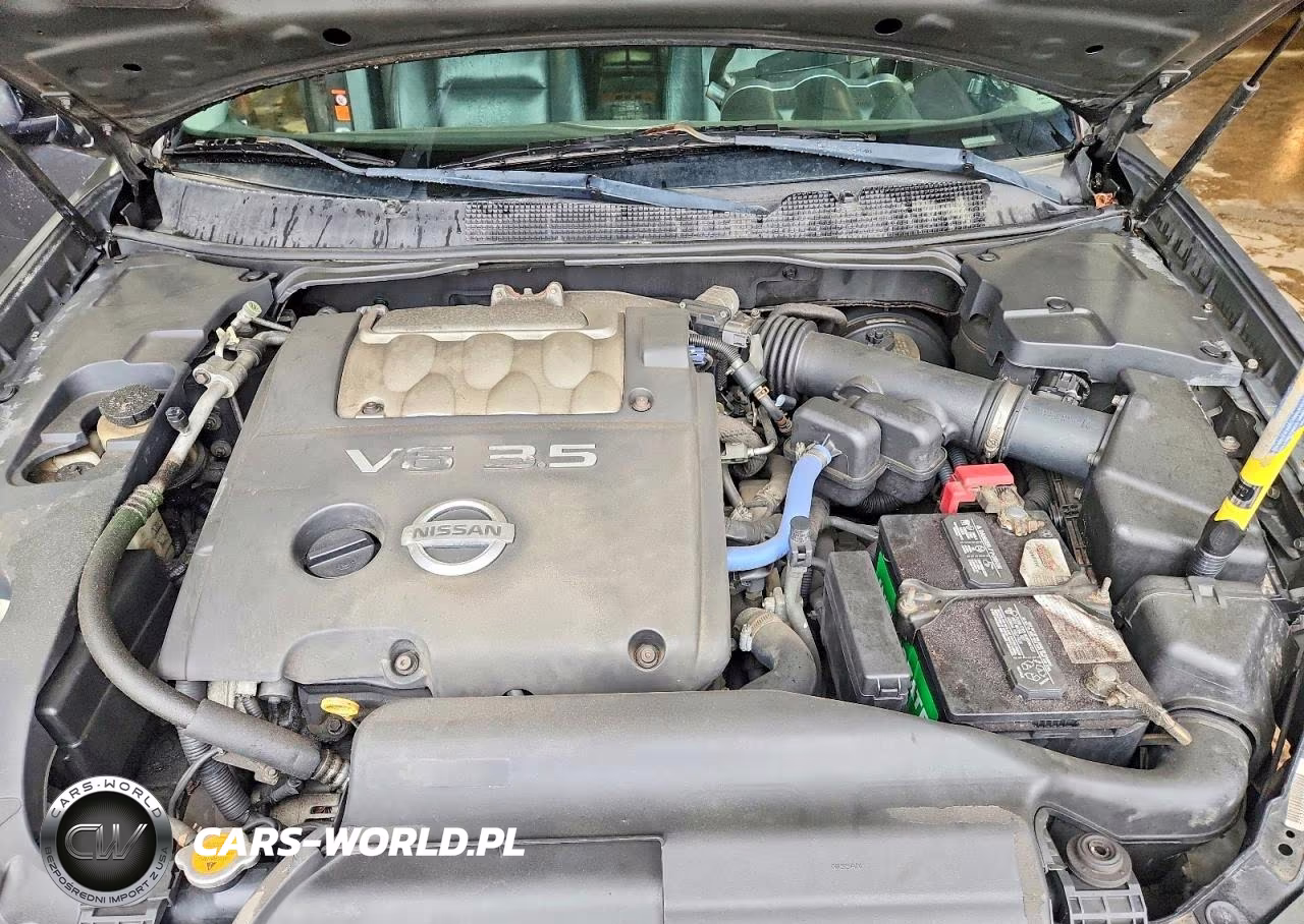 2004 Nissan Maxima Se-Sl VIN:1N4BA41E74C916790 - 11