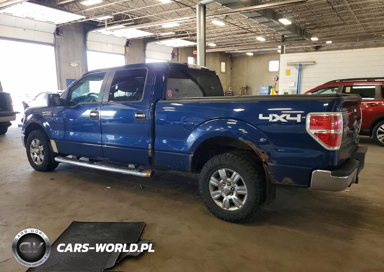 2011 Ford F150 Supercrew VIN:1FTFW1EF3BFB10696 - 2