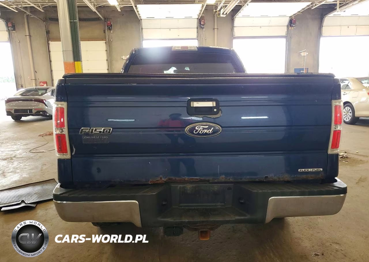 2011 Ford F150 Supercrew VIN:1FTFW1EF3BFB10696 - 6
