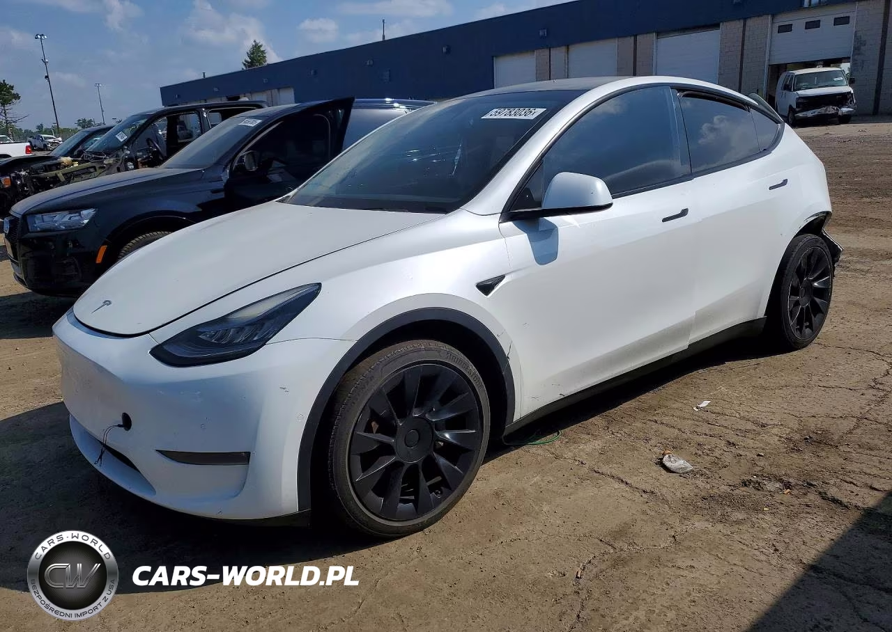 2020 Tesla Model Y