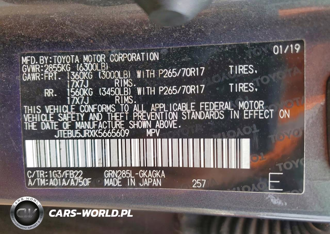 2019 Toyota 4Runner VIN:JTEBU5JRXK5665609 - 13