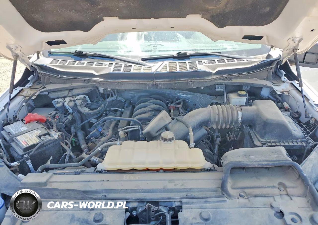 2021 Ford F150 Supercrew VIN:1FTFW1E58MFC96813 - 11