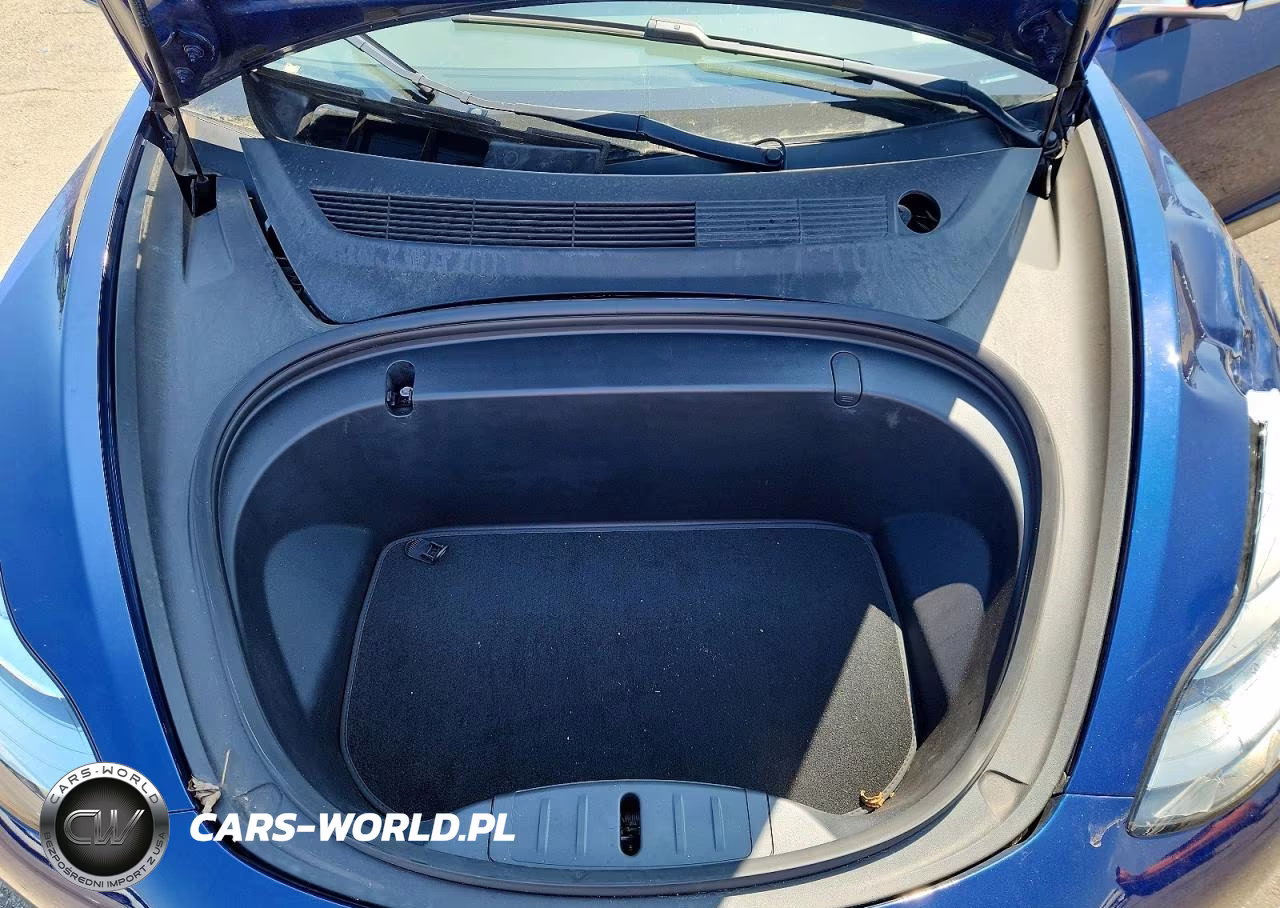 2018 Tesla Model 3 VIN:5YJ3E1EBXJF116047 - 11