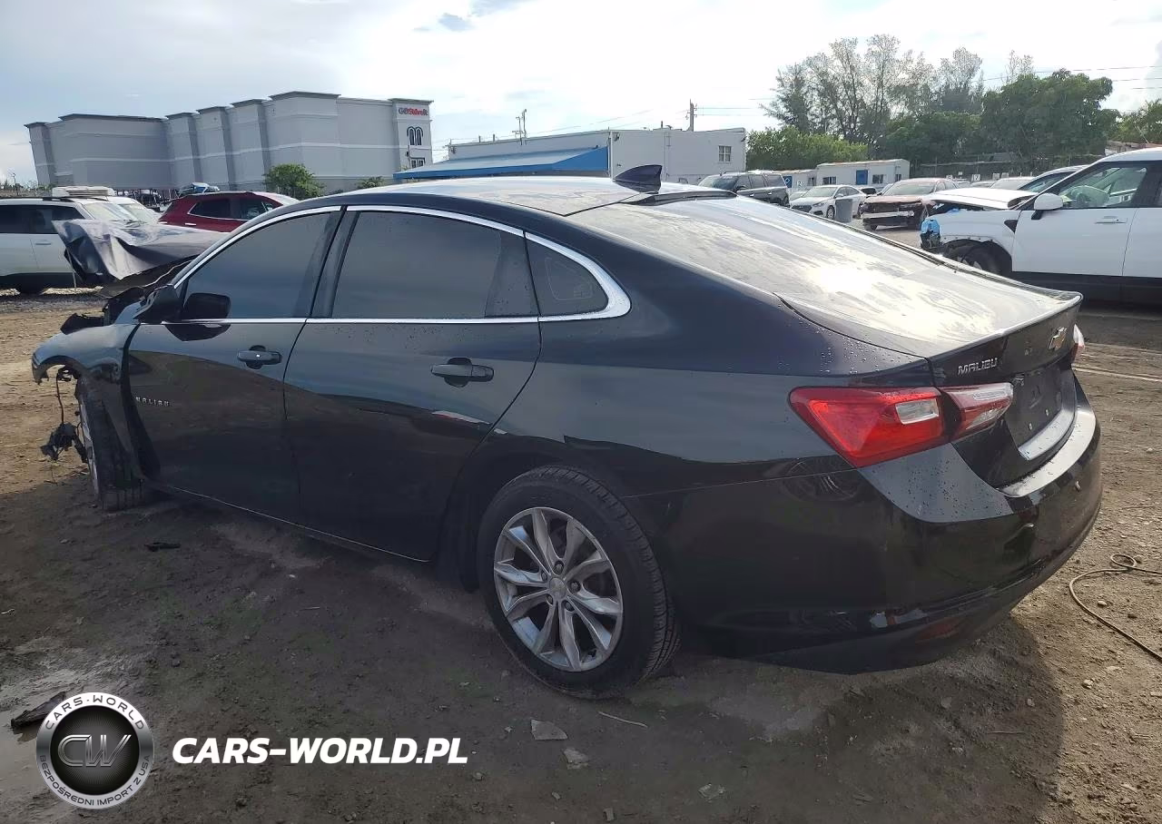 2019 Chevrolet Malibu Lt VIN:1G1ZD5ST7KF135100 - 2
