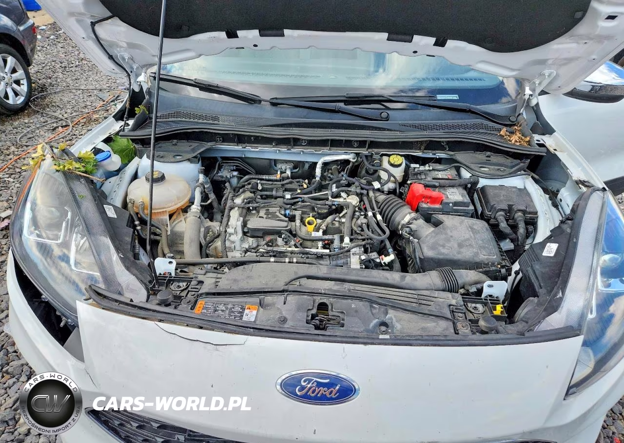 2020 Ford Escape Se VIN:1FMCU9G67LUC60100 - 11