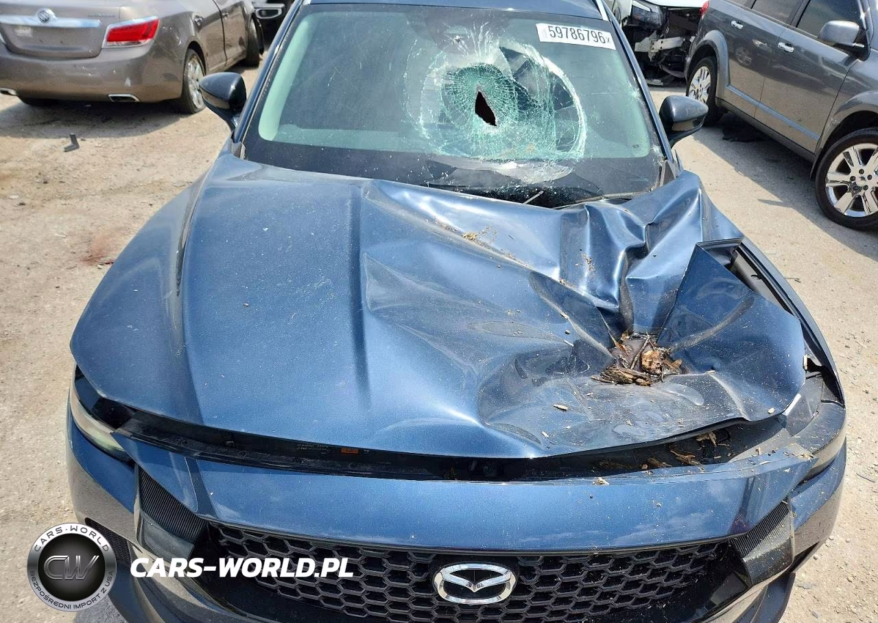 2025 Mazda Cx-50 Premium Plus VIN:7MMVABEY7SN376973 - 12