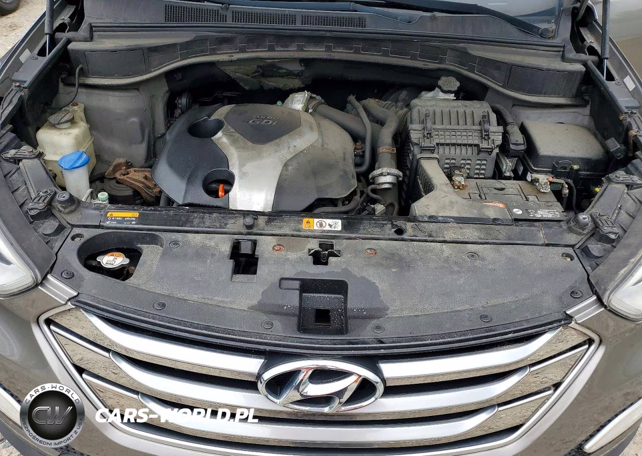 2016 Hyundai Santa Fe Sport 2.0T VIN:5XYZWDLA6GG314810 - 12