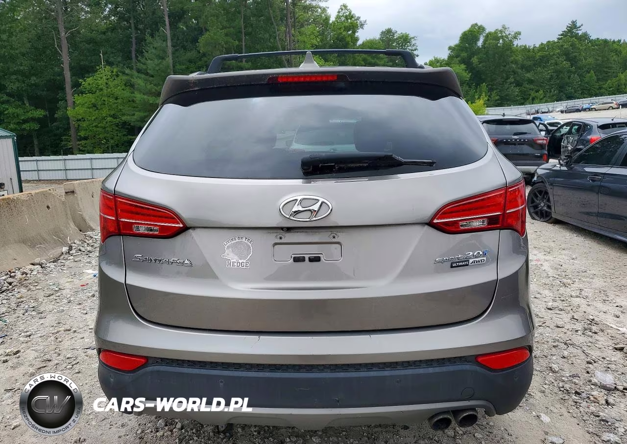 2016 Hyundai Santa Fe Sport 2.0T VIN:5XYZWDLA6GG314810 - 6
