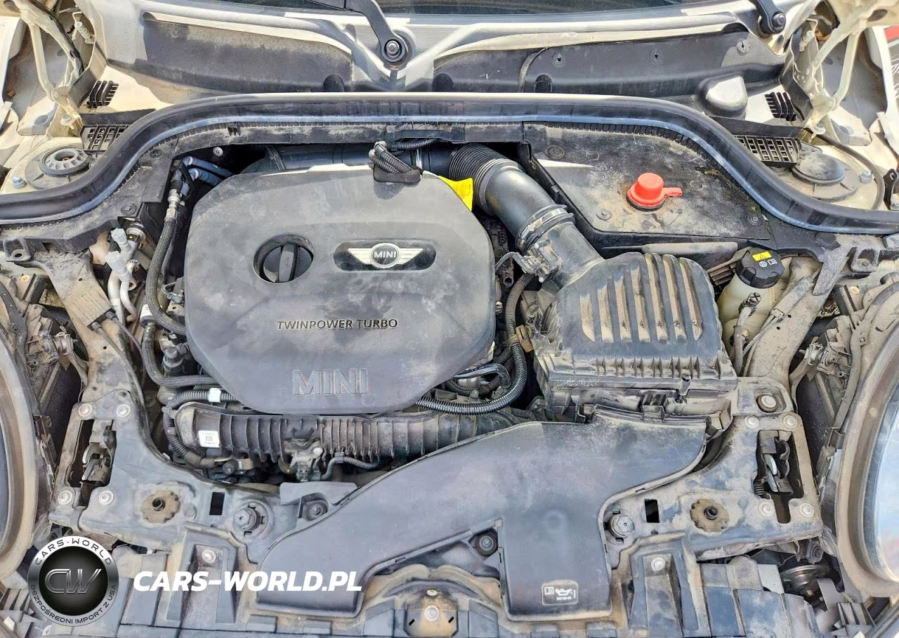 2019 Mini Cooper S VIN:WMWWG9C56K3E40064 - 11