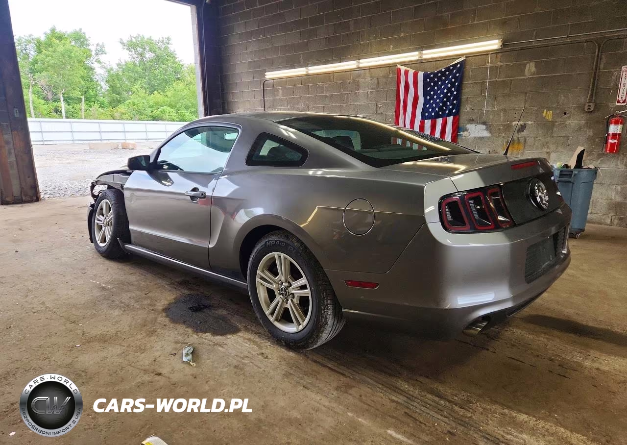 2014 Ford Mustang VIN:1ZVBP8AM0E5290879 - 2