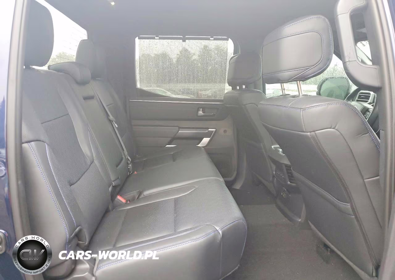 2024 Toyota Tundra Platinum Hv VIN:5TFNC5DB5RX045106 - 10