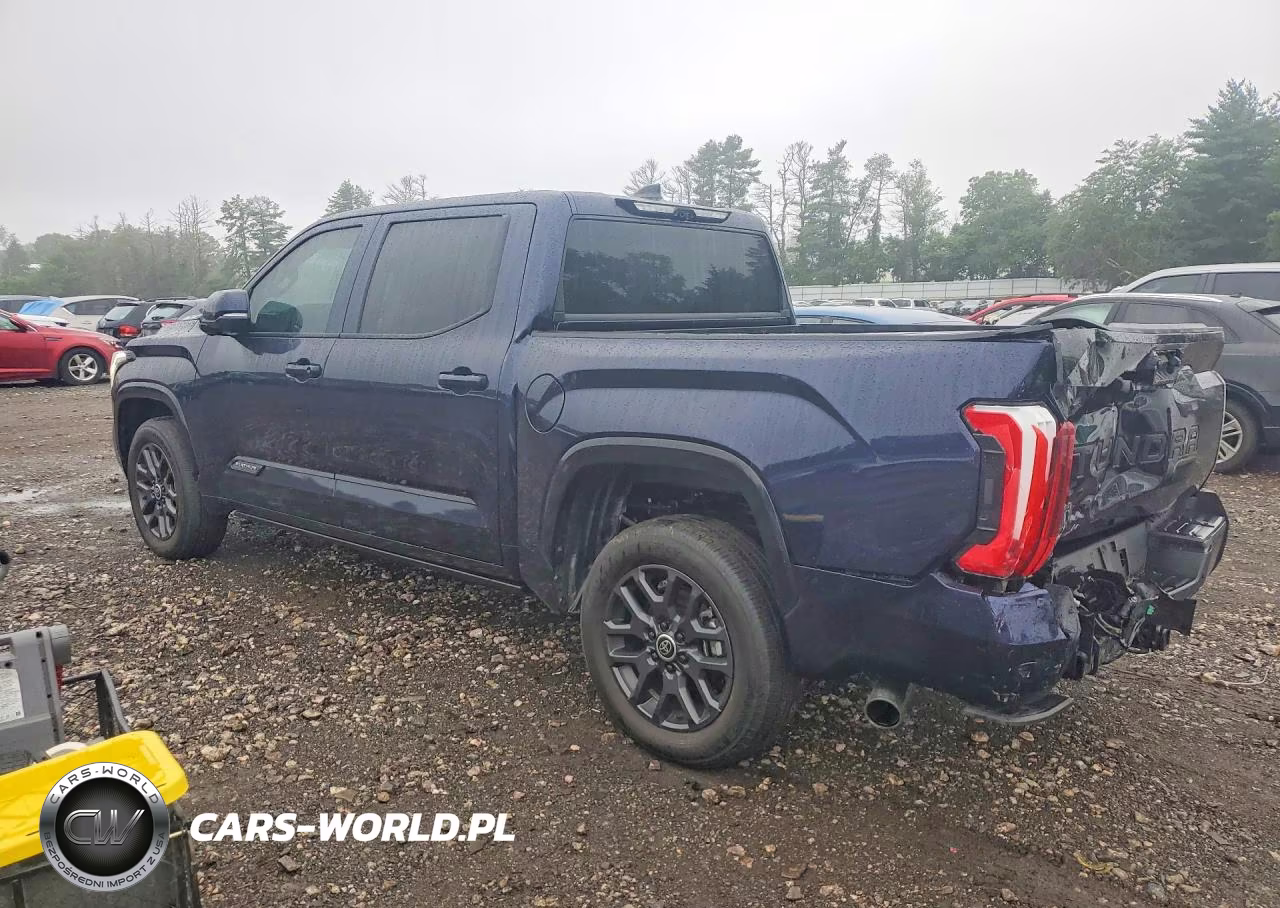 2024 Toyota Tundra Platinum Hv VIN:5TFNC5DB5RX045106 - 2
