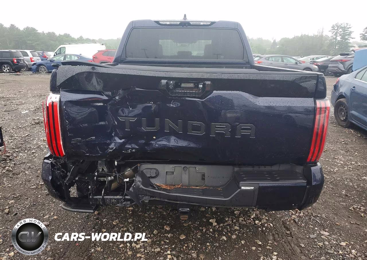 2024 Toyota Tundra Platinum Hv VIN:5TFNC5DB5RX045106 - 6