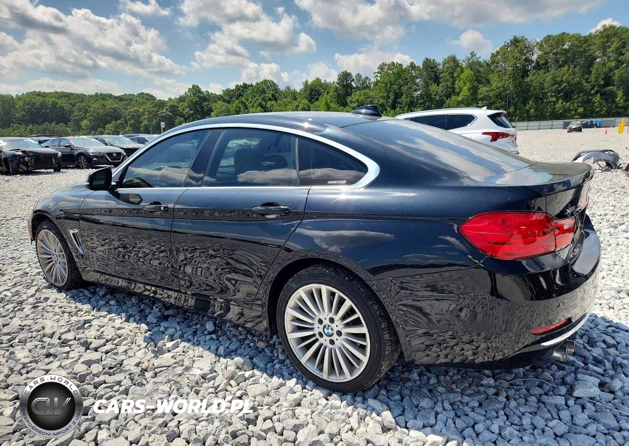 2016 BMW 428 Xi Gran Coupe Sulev VIN:WBA4C9C55GG138118 - 2