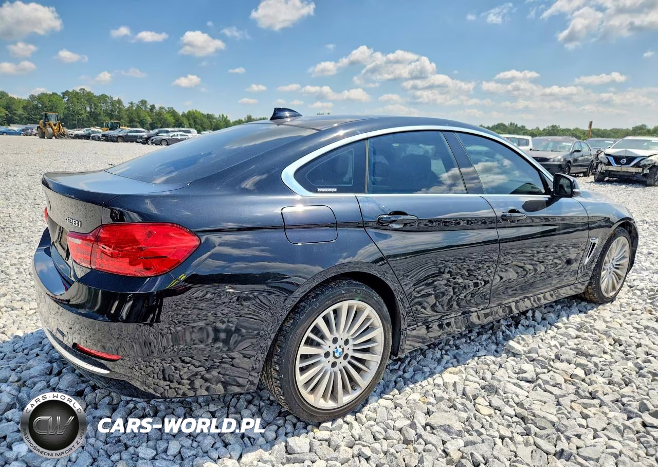 2016 BMW 428 Xi Gran Coupe Sulev VIN:WBA4C9C55GG138118 - 3