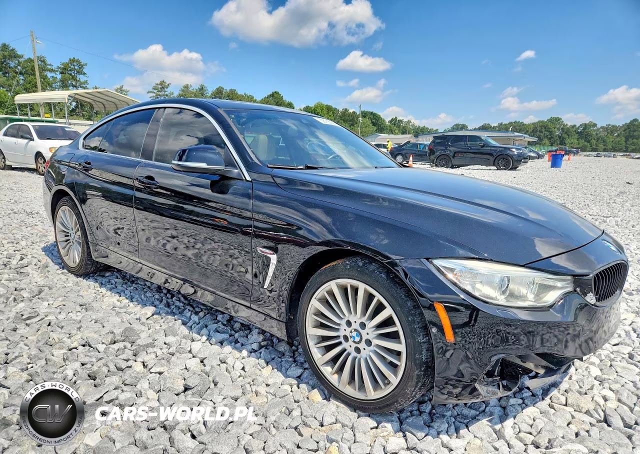 2016 BMW 428 Xi Gran Coupe Sulev VIN:WBA4C9C55GG138118 - 4