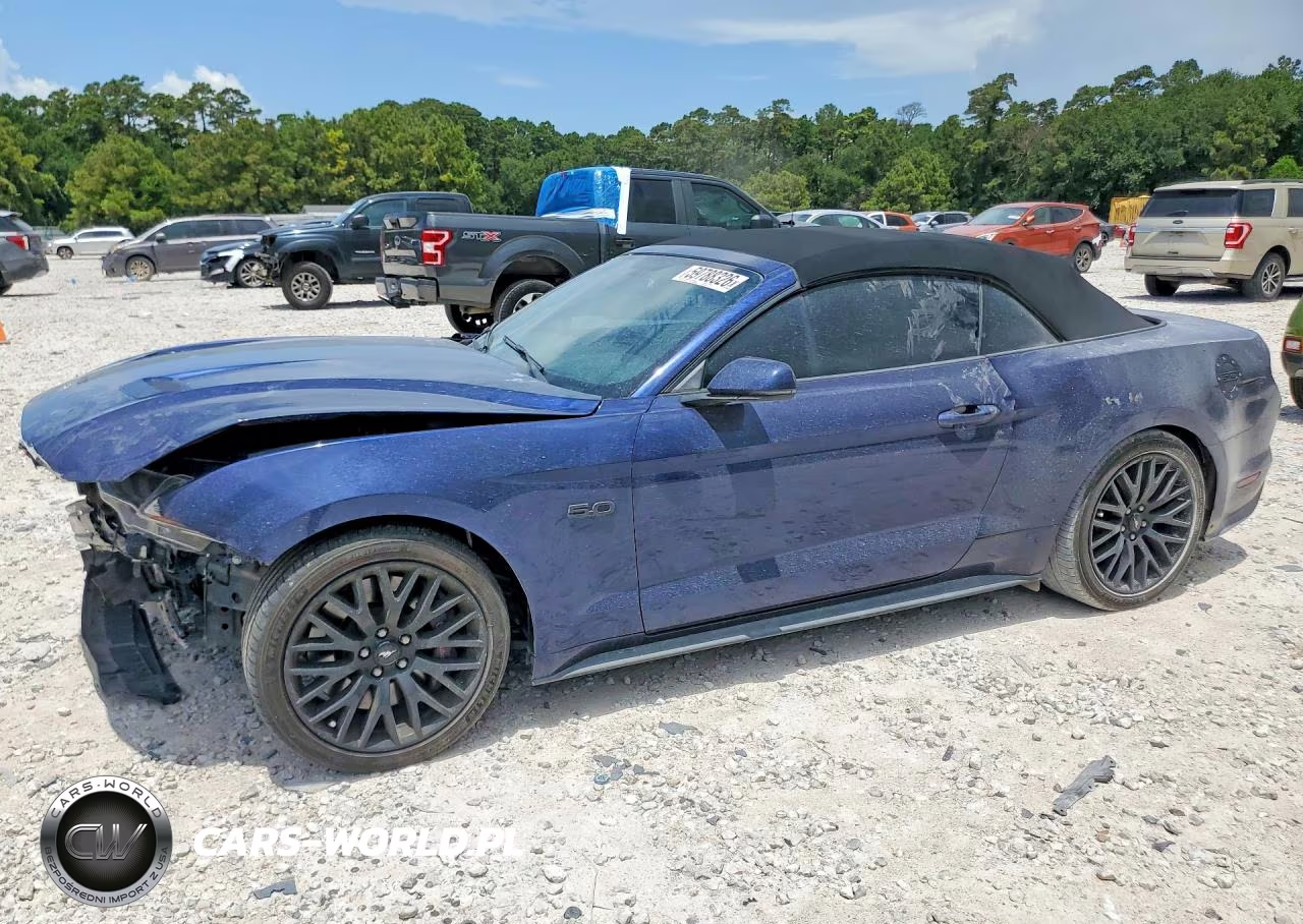 2018 Ford Mustang Gt – zdjęcie 1 z 13