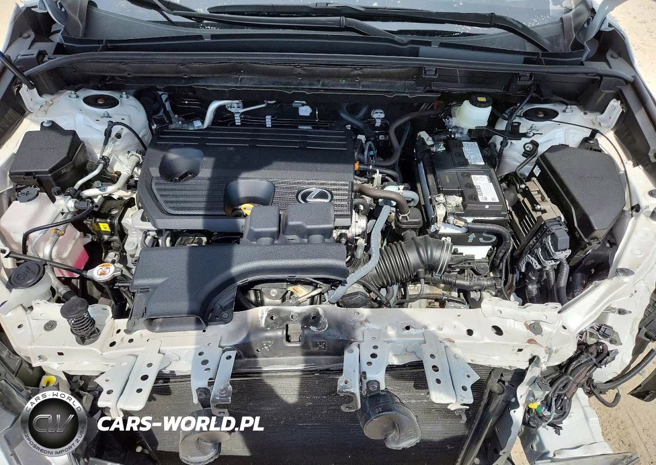2025 Lexus Nx 250 Base VIN:2T2ADCAZ7SC018913 - 12