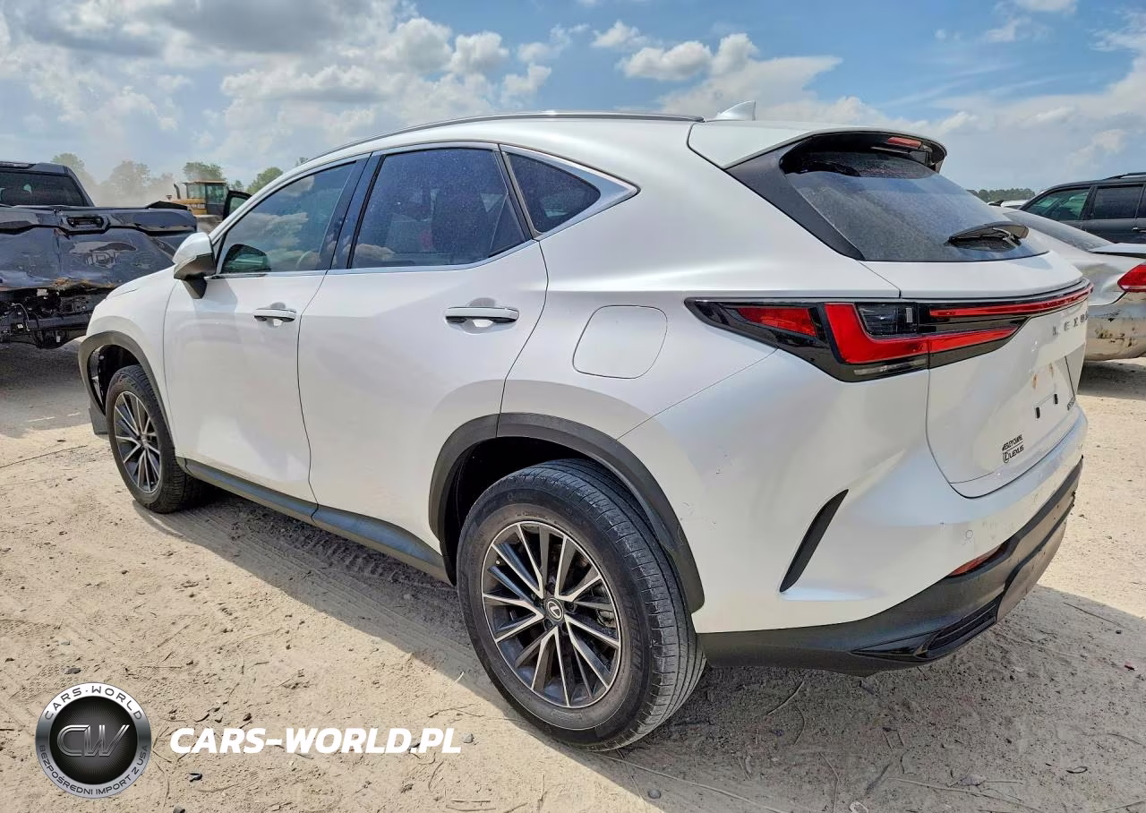 2025 Lexus Nx 250 Base VIN:2T2ADCAZ7SC018913 - 2