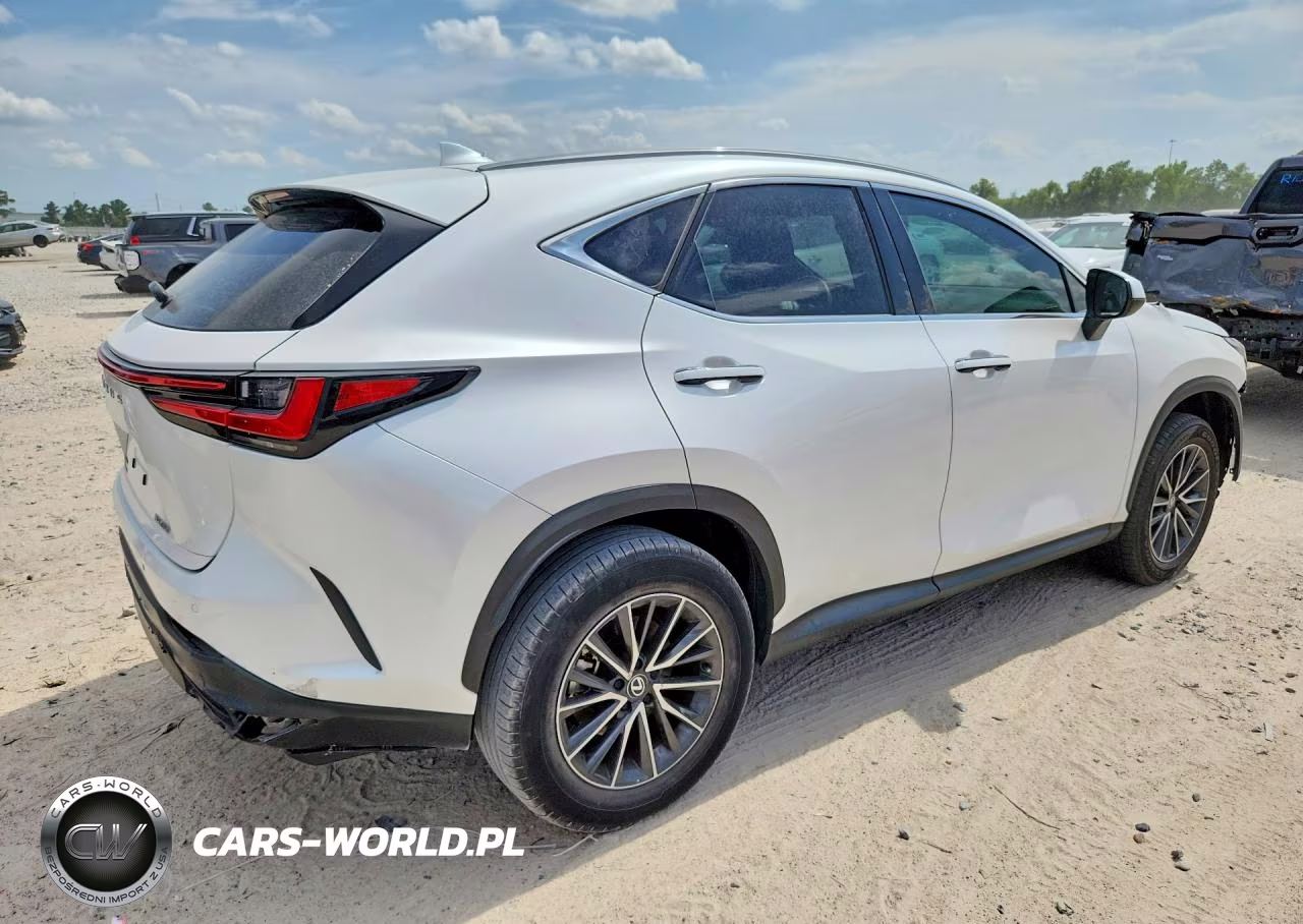 2025 Lexus Nx 250 Base VIN:2T2ADCAZ7SC018913 - 3